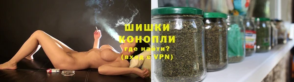ПСИЛОЦИБИНОВЫЕ ГРИБЫ Аркадак