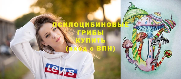 ПСИЛОЦИБИНОВЫЕ ГРИБЫ Аркадак