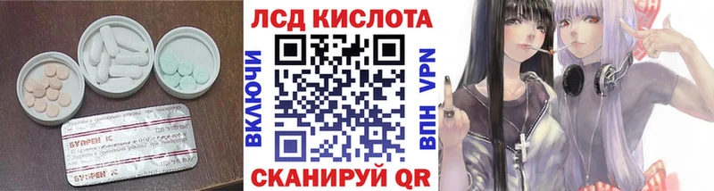 ОМГ ОМГ зеркало сколько стоит Тимашёвск LSD-25 экстази ecstasy